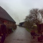 Brullen met de Zetor