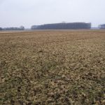 Mest is gestrooid over het land