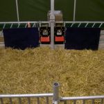 Nuchteren kalveren stal