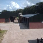 Onze koeienstal en jongveestal