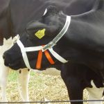 Wat gebeurd daar nou??