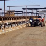 mexicanen aan het voeren