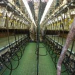 De 2x14 60 graden afgelopen zomer op stage