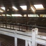 Loopstal compleet schoon