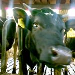 Zeg wat heb jij een mooie telefoon!!