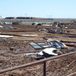 enorme puinhoop,en wat dode koeien