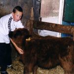 schotse hooglander mak maken