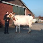 Vaarzenvideokeuring '09 