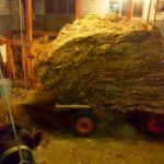 Het gaat niet altijd goed...