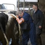 drachtigheidscontrole