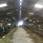 Lekker zo'n ventilator