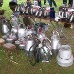 verschillende melkemmers 