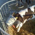 En nu is ie echt leeg..