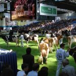 Individuele keuring RB & ZB