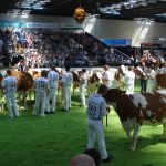 Individuele keuring RB