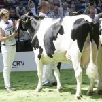  Beppe 257 (Fortune) 1A op de NRM