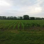 verschil tussen frezen en spitten