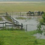 van droogte dat duurde tot 11 juli is vandaag alles anders