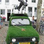 Koeien liften met auto's