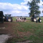 3e kalfs Engadin dochters 