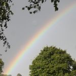 regenboog