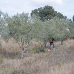 Plukken met de hand gaat ook, maar niet zo snel