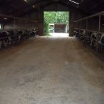 RosÃ© vleeskalveren