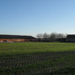 In het voorjaar onze melkstal