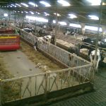 stal van boven de melkput