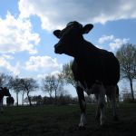 Voor het eerst naar buiten