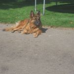 Bartje druk aan het relaxen