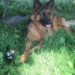 Bartje met een halve liter