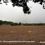 Mais Millesim KWES,, gevolgd van zaaien tot hakselen