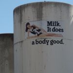 Melk goed voor elk