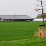 Familie Grin uit Biddinghuizen 