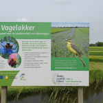 Vogelakker in de Schermer