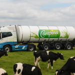 Campina E-RMO  tussen de koeien en zonnepanelen